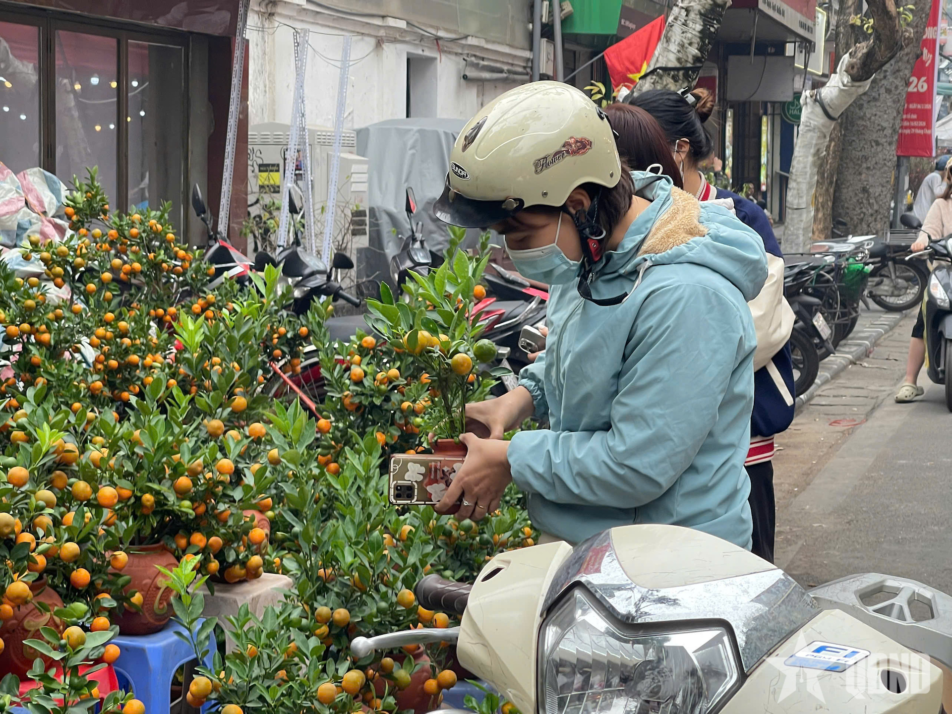 Cảm nhận vị Tết Hà thành